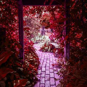 Pattern Of The Ocean