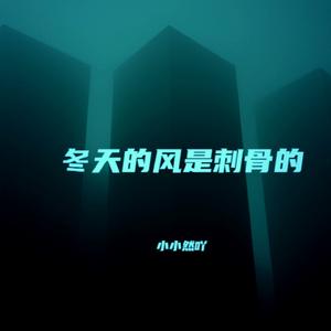冬天的风是刺骨的