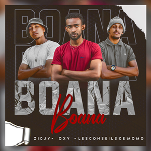 Boana