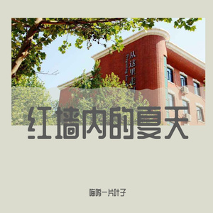 红墙内的夏天