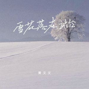 雪花落在站台 (你也没回来)