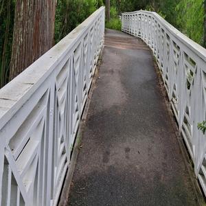 Cypress Trails