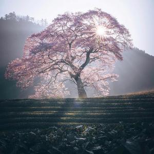 三月这个最后的夜晚 Demo