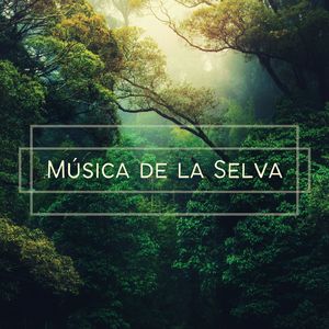 Aprendiendo de la Madre Naturaleza