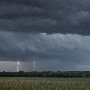 I Will Think Forever