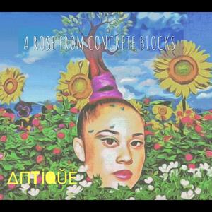 A Rose From Concrete Blocks