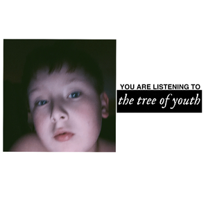 the tree of youth (all you wanna)
