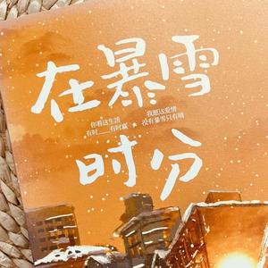 在暴雪时分