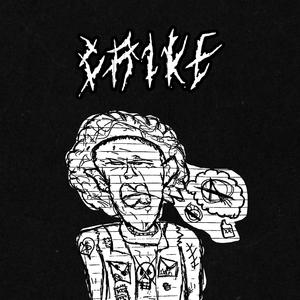 Sage Toad (Basement Demo)