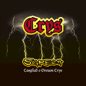 Merched Gwyllt A Gwin