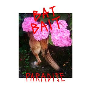 Guys