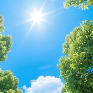 苍茫大地任翱翔