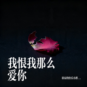 我恨我那么爱你