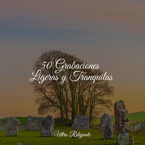 Deslizamientos De Hielo