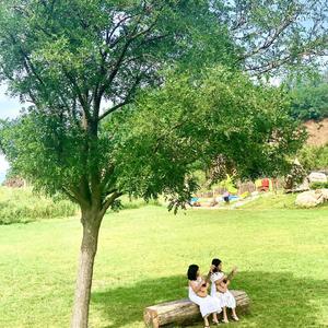 听我说谢谢你 儒墨同学（翻自 李昕融）