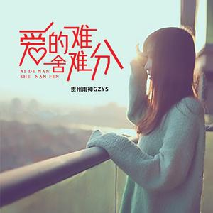 眼中有泪心中有你