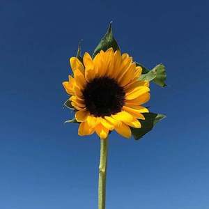 你所有的爱别人都是爱自己