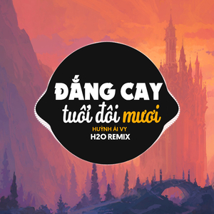 Đắng Cay Tuổi Đôi Mươi (Remix)
