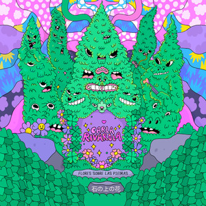 Flores Sobre las Piedras