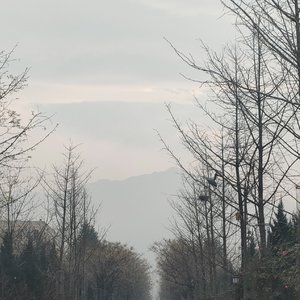 海边的甜香与期盼