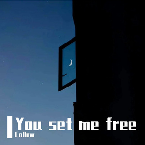 You set me free（你还我自由）
