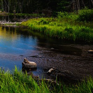 不必祝她花开不必教她会爱