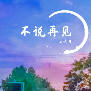 不说再见 伴奏