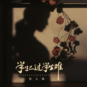 半生已过半生难