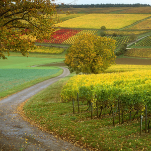 通过斗地主明白的7个道理