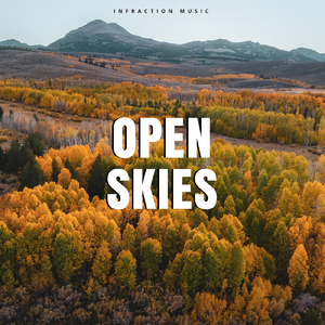Open Skies