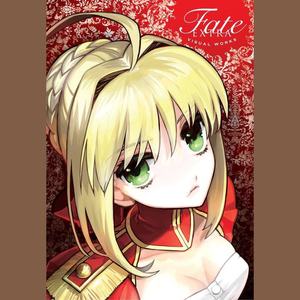 Servant/stay night (Archer, nobody knows him the hero)