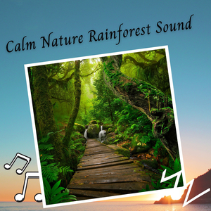 Calm Nature Rainforest Sound - 2 Hours