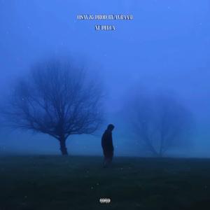 Nu pleca! (feat. Prod. By Avraam)