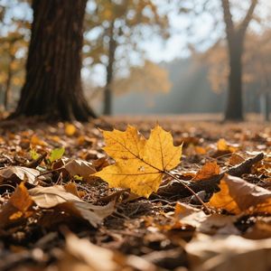 春风细语绕青丝