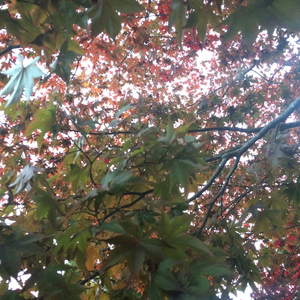 All My Regret For Nothing Remembered, Pt. 1