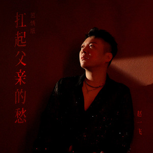 扛起父亲的愁（苦情版）