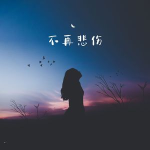 不再悲伤 (释怀版)