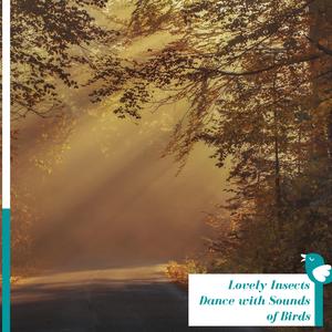 Relaxing Echo of the Wetland Frogs