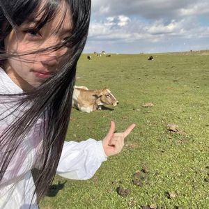 预谋（西游记版）