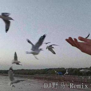 卡点那是必须的（Perfect.Mix）