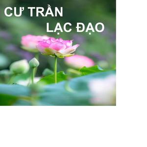 NGAY TRONG NGÀY HÔM NAY (TỐ UYÊN)