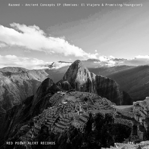 Moderation (Promising Youngster Remix)