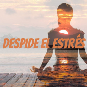 PARA FLUIR