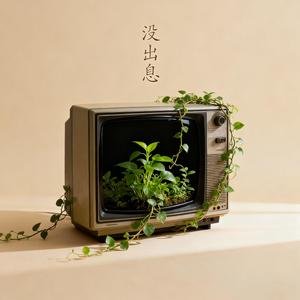 没出息（80后成长版）