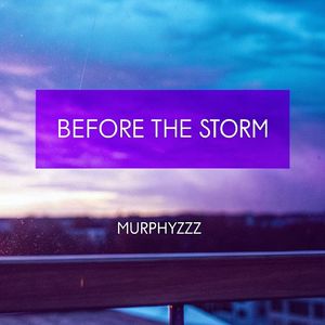 在风暴来临之前