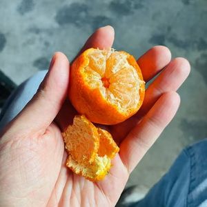 이름 (名字) - 中文版