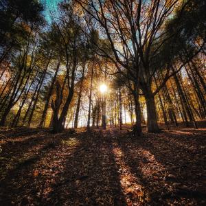 Things That Cannot Be Told