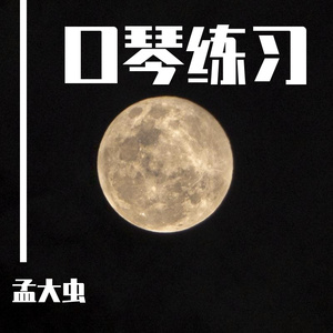 你离开了南京，从此没有人和我说话 口琴