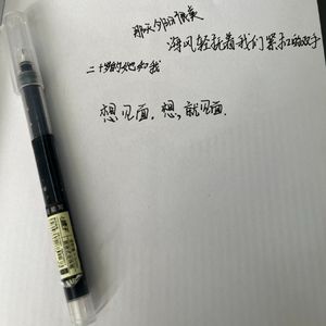 二十岁的她和我