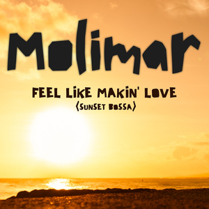 Feel Like Makin' love (Sunset Bossa)